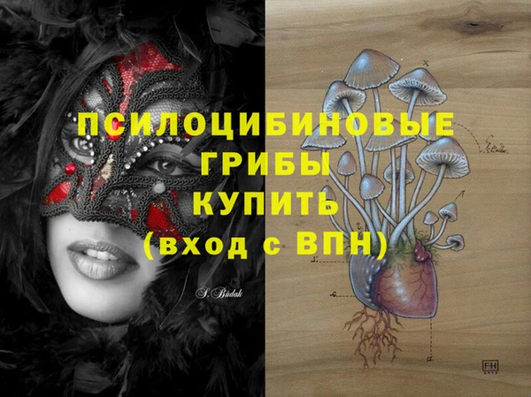 ешки Верея