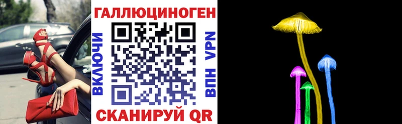 где купить наркоту  Каменск-Уральский  Псилоцибиновые грибы мухоморы 